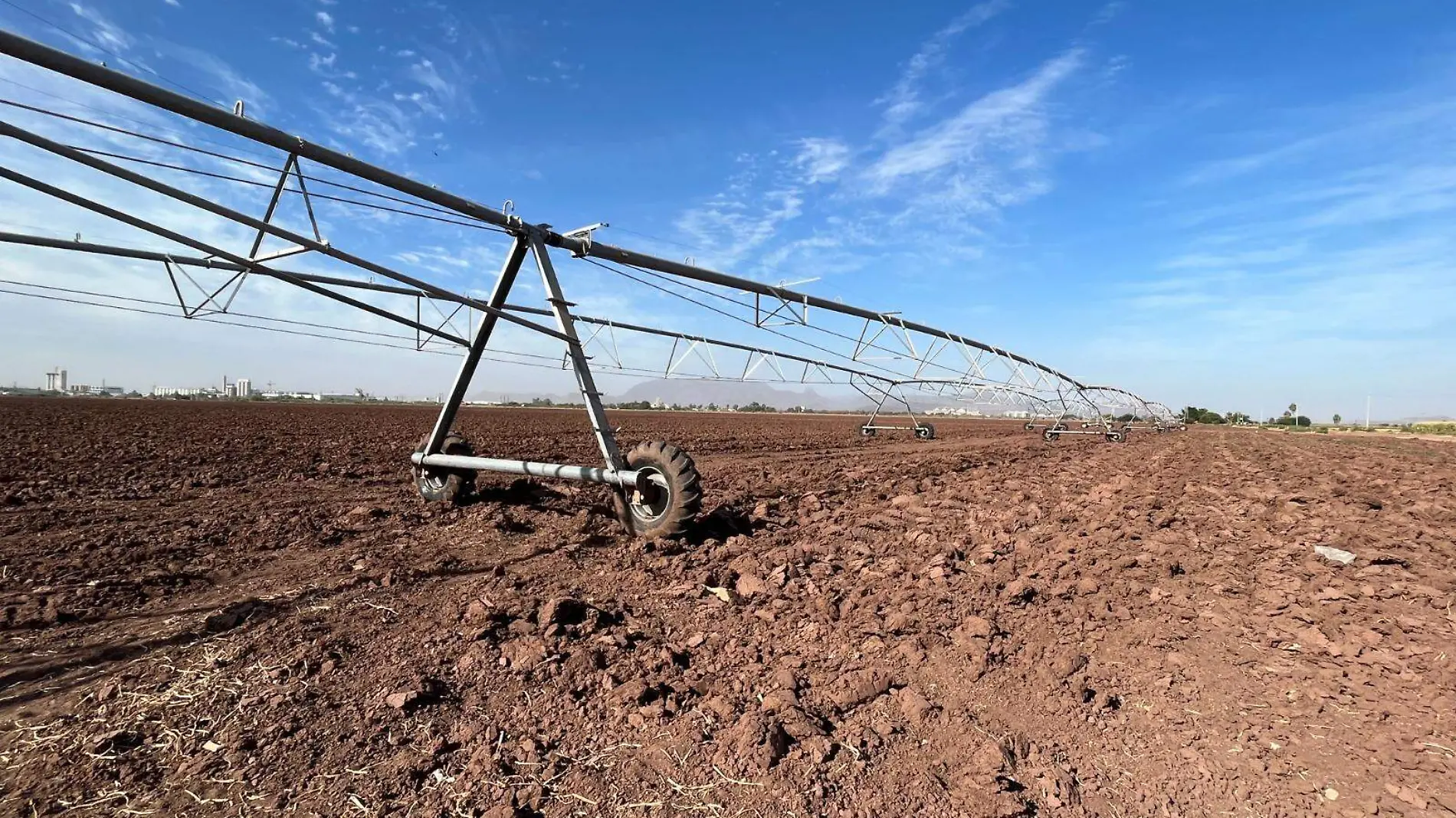 sequía en los campos agrícolas sonorenses